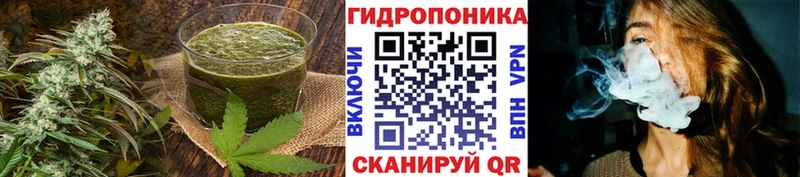 Canna-Cookies марихуана  Власиха 
