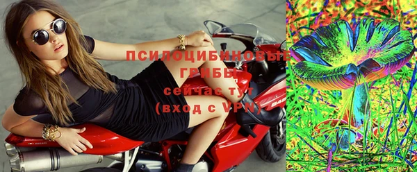 гашик Осташков