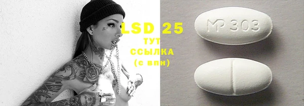гашик Осташков