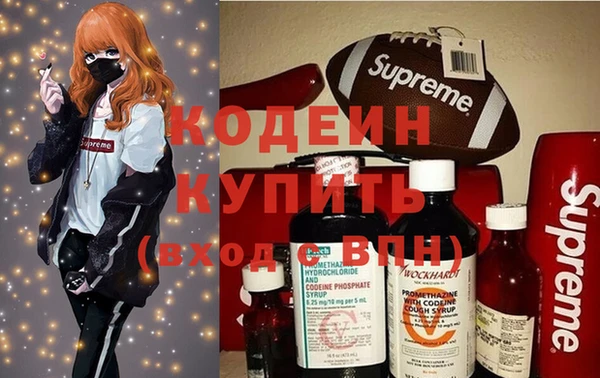 гашик Осташков