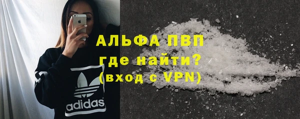 гашик Осташков
