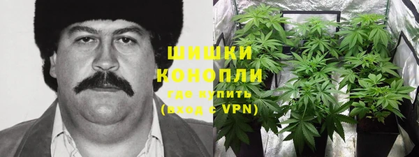 гашик Осташков